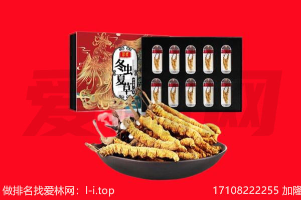 哈尔滨方正县回收虫草.jpg